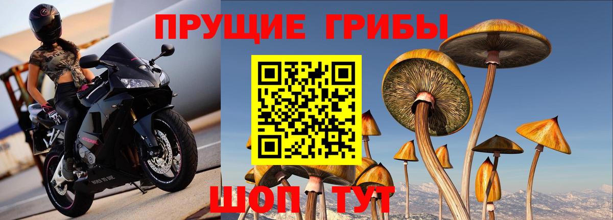 Кулебаки  Псилоцибиновые грибы прущие грибы  Галлюциногенные грибы мицелий  Вход с VPN 